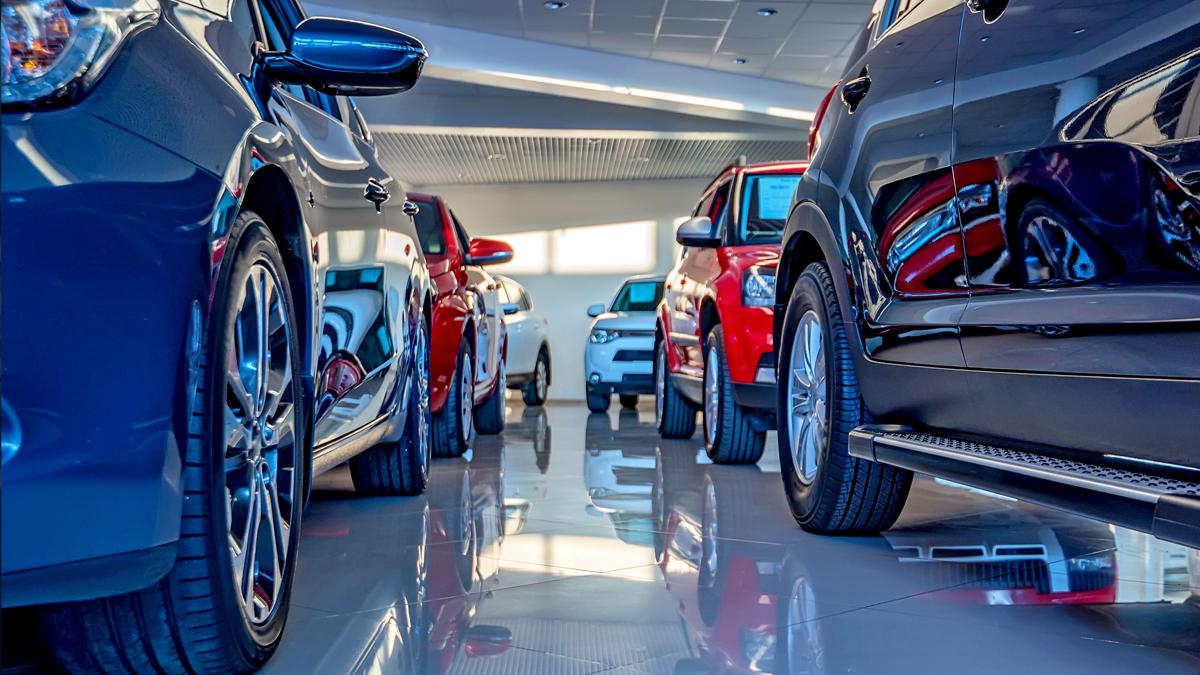 cars in showroom