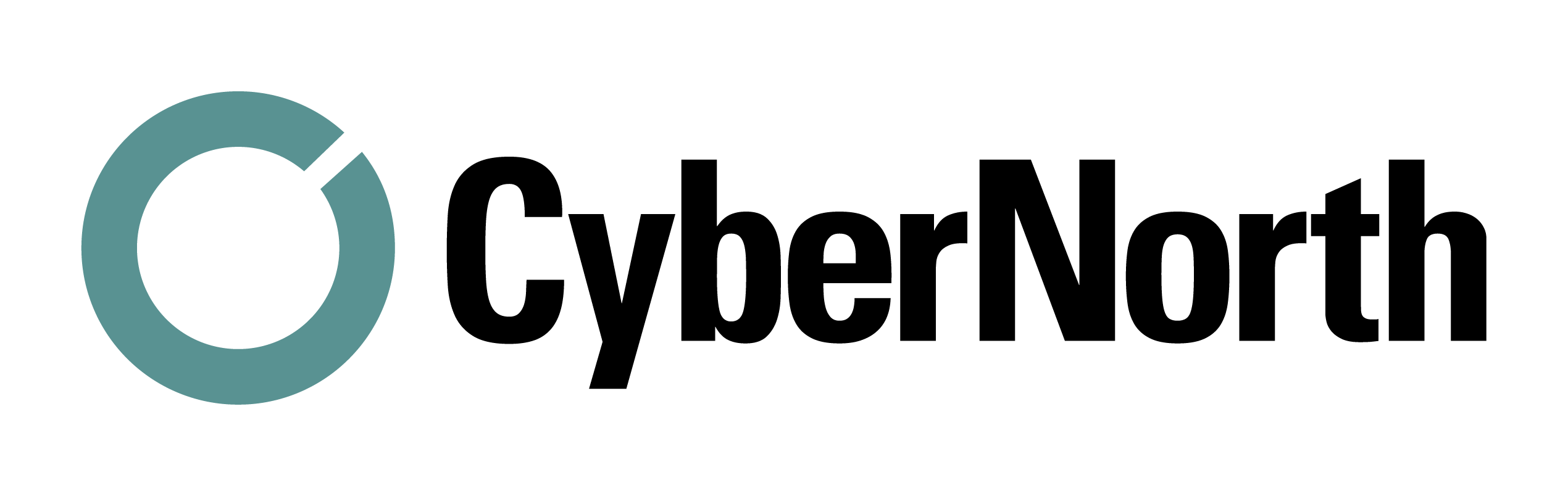 CyberNorth logo