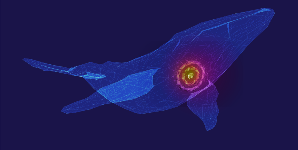 Prevent Whaling Cover Image