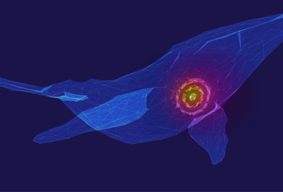 Prevent Whaling Cover Image