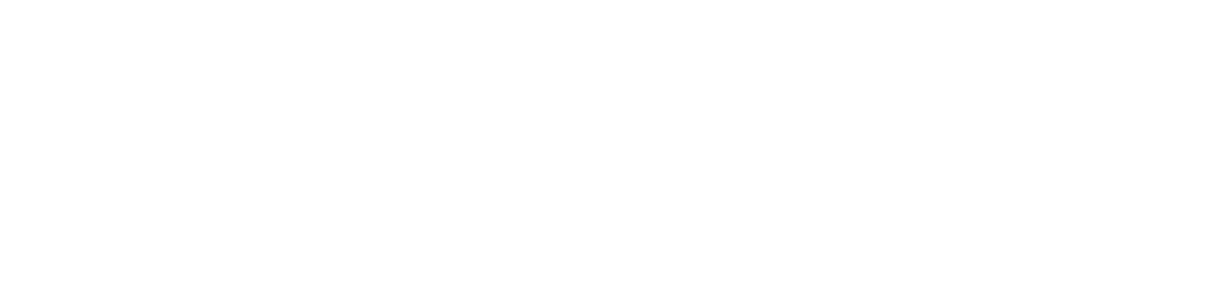 Crowdstrike Elite Partner white logo