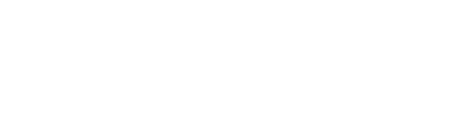 Newcastle city council logo