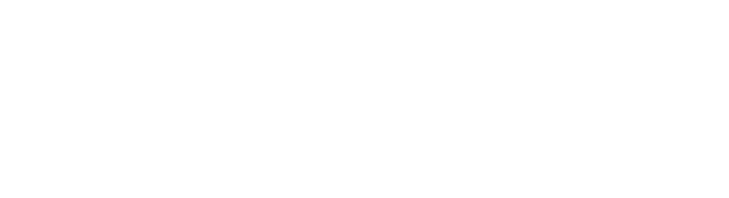 Newcastle International airport logo