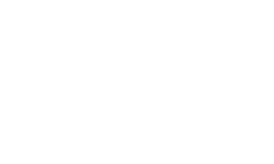 Lloyd motor group