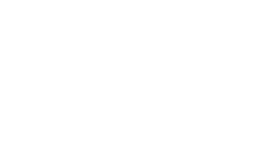 Newcastle city council